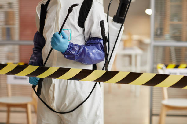 Professional Sewage Cleanup technician working in Caseyville, IL